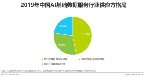 2020年中國(guó)AI基礎(chǔ)數(shù)據(jù)服務(wù)行業(yè)發(fā)展報(bào)告 數(shù)據(jù)處理服務(wù)的增長(zhǎng)路徑